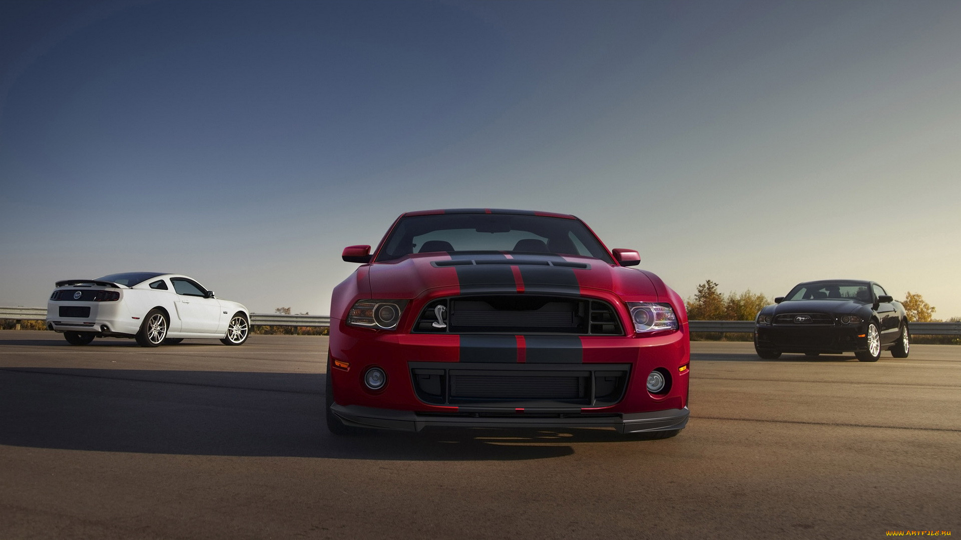 , mustang, ford, shelby, gt500